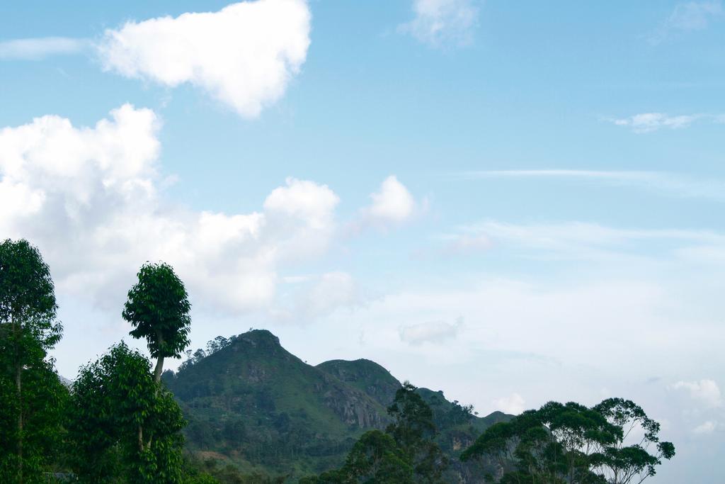 The Tenth Hotel Ella Ngoại thất bức ảnh